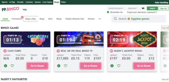 Paddy Power Bingo review