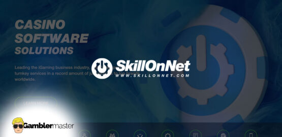 Skill on Net Casinos