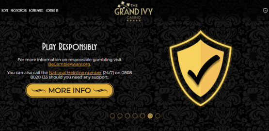 Grand Ivy Casino review